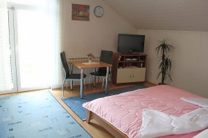 apartmanska soba Danijela- Apartments Zagreb